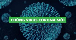 Canh bao viem phoi cap VIRUS CORONA