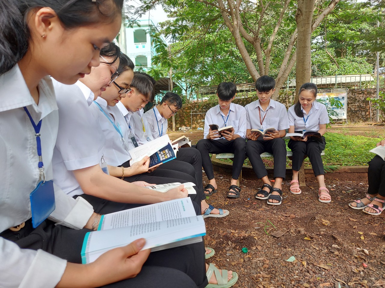 z2111357425084 5133fd0b9391a5ea15a91d3b97856cef